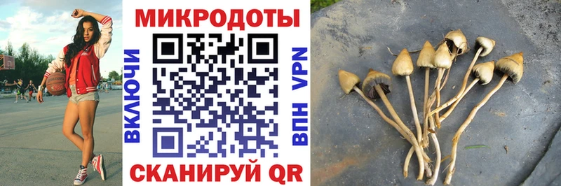 Галлюциногенные грибы Psilocybine cubensis  наркота  Бобров 